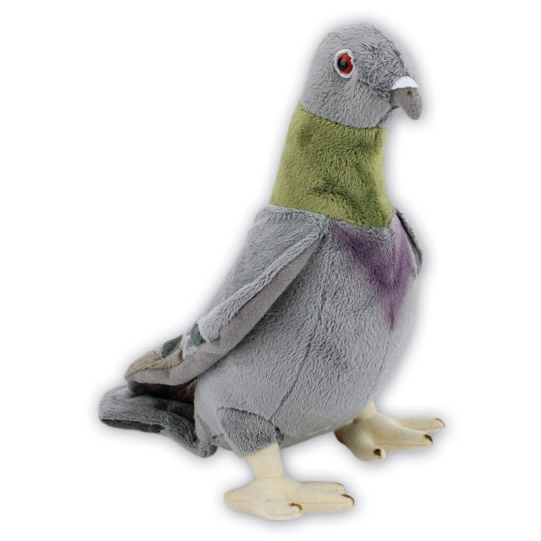 Pigeon Soft Toy