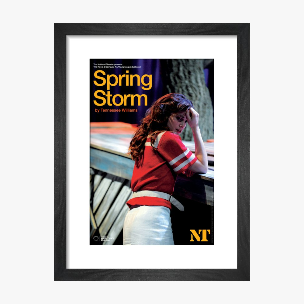 Spring Storm 2010 Print