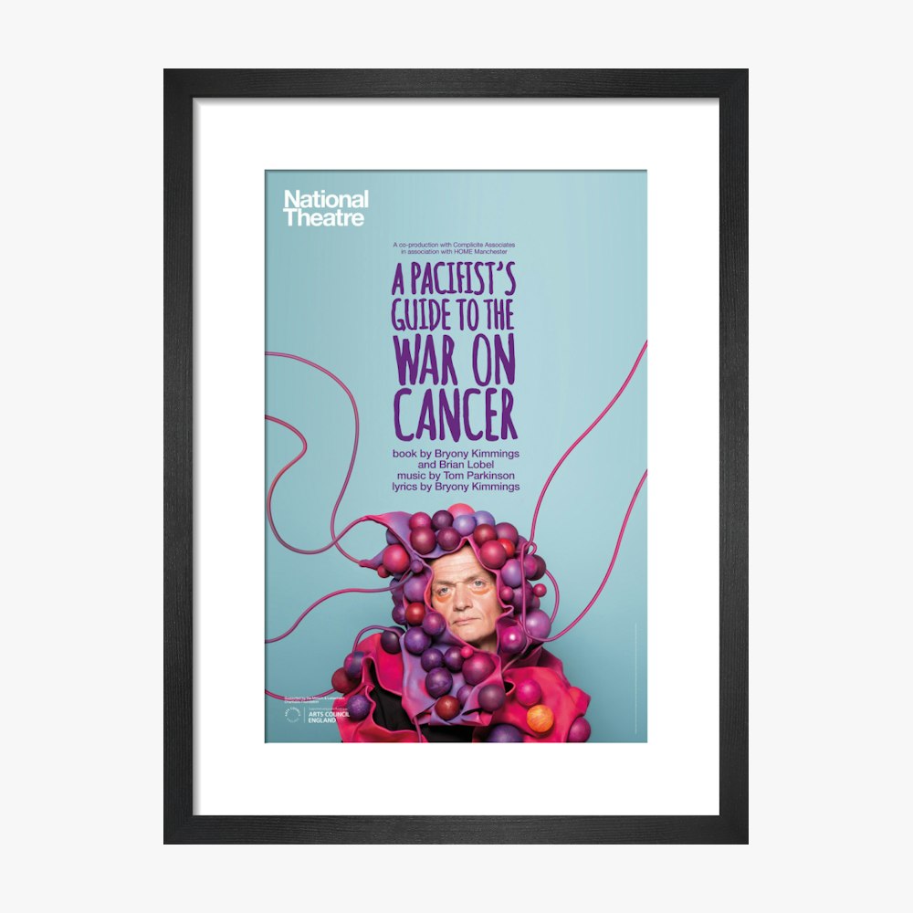 A Pacifist's Guide to the War on Cancer 2016 Print