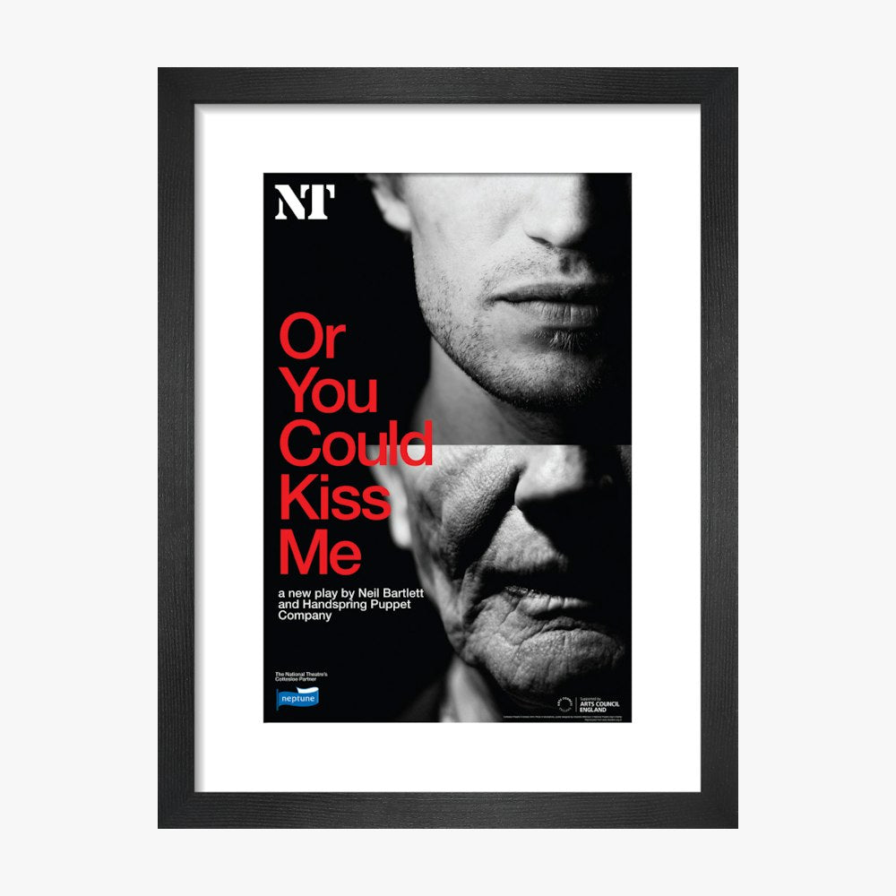 Or You Could Kiss Me 2010 Print