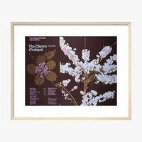 The Cherry Orchard 1973 Print