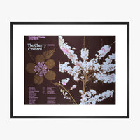 The Cherry Orchard 1973 Print
