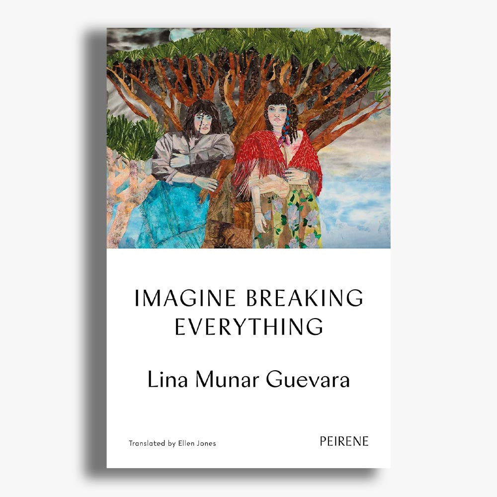 Imagine Breaking Everything