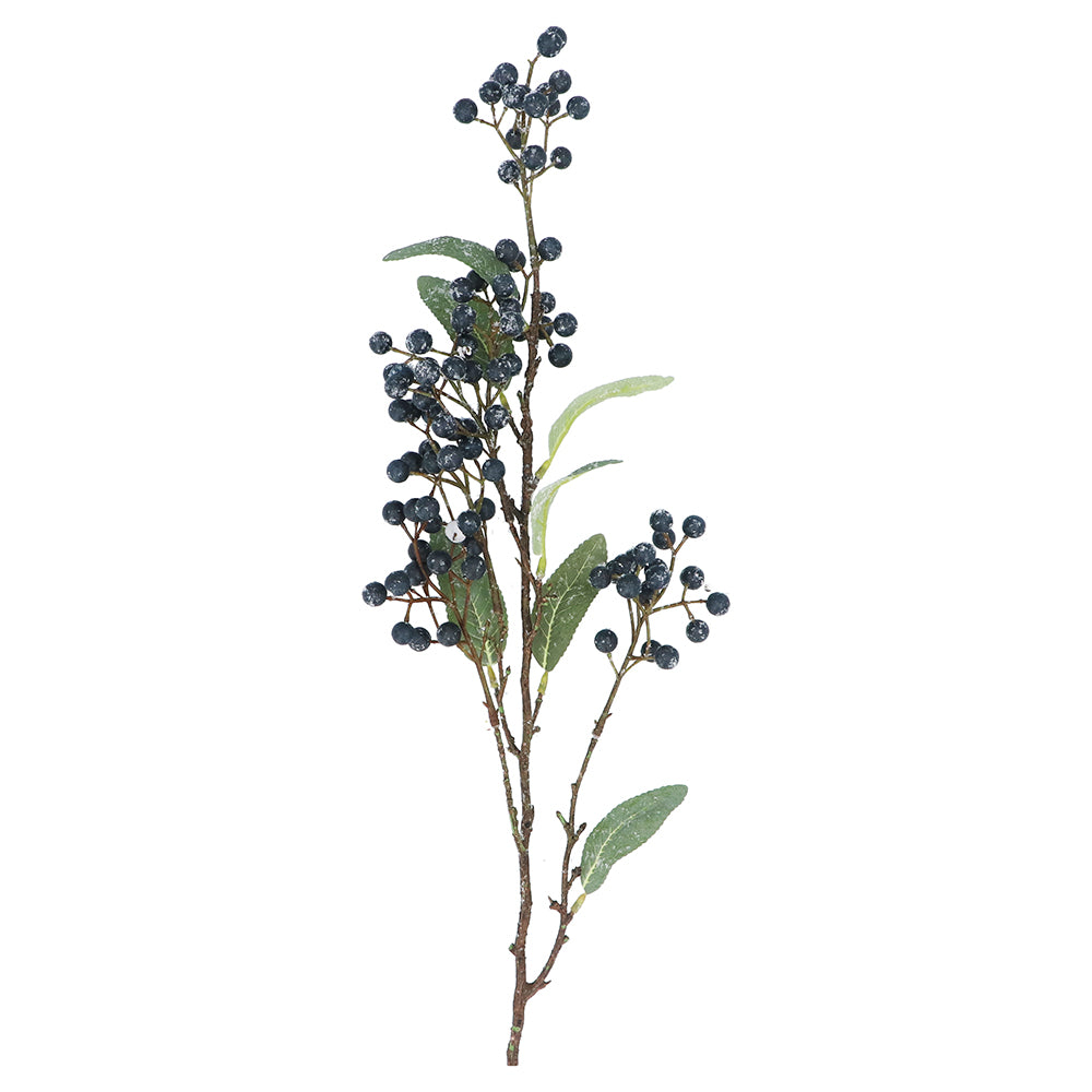 Blueberries with Foliage Decoration