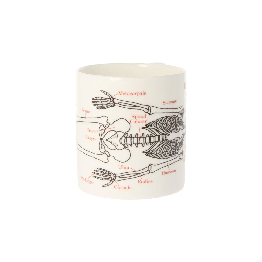 Human Skeleton Mug