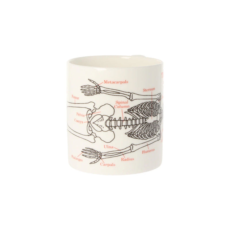 Human Skeleton Mug