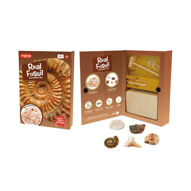 Fossil Dig Kit