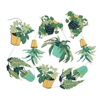 室内植物垂直壁挂