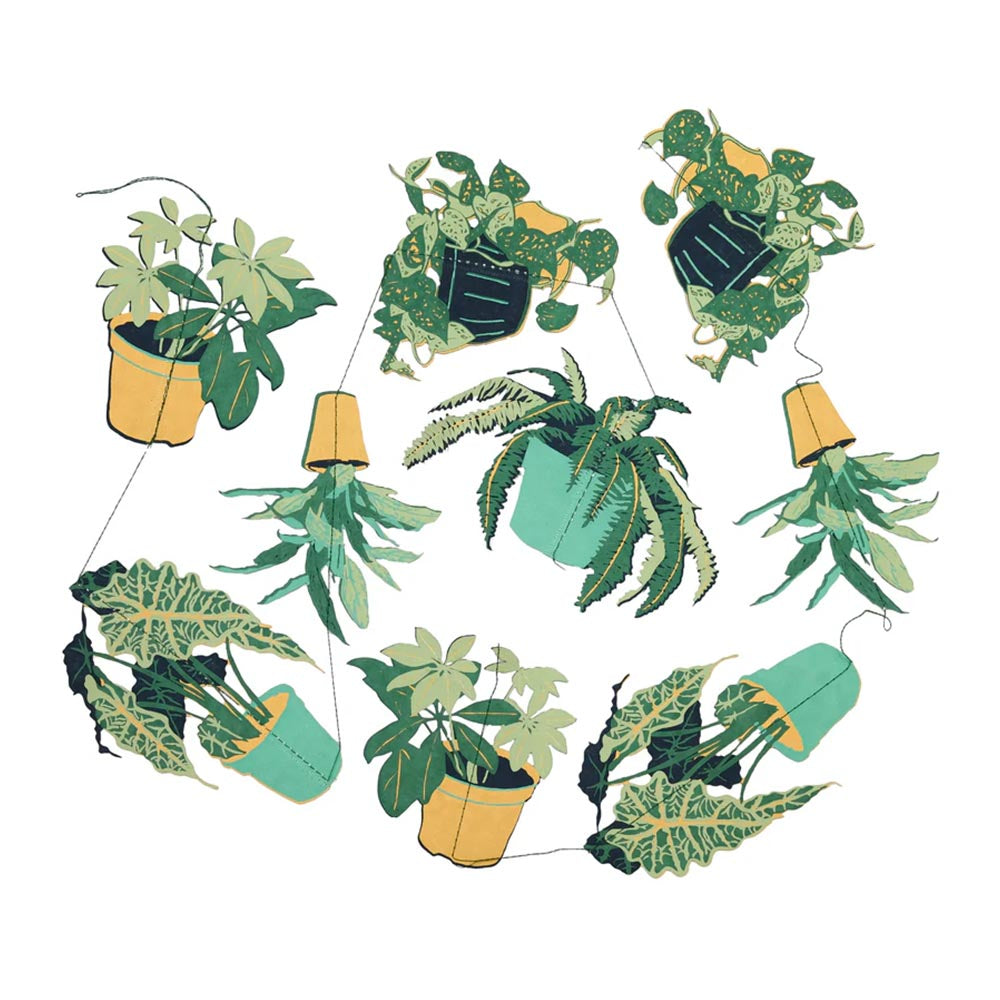 室内植物垂直壁挂