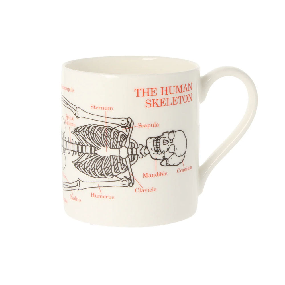 Human Skeleton Mug