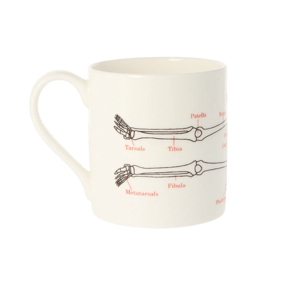 Human Skeleton Mug