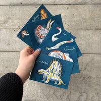 Ballet Shoes Dinosaur Postcard Pack - Set of 6