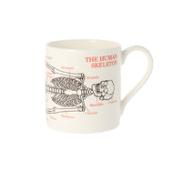 Human Skeleton Mug