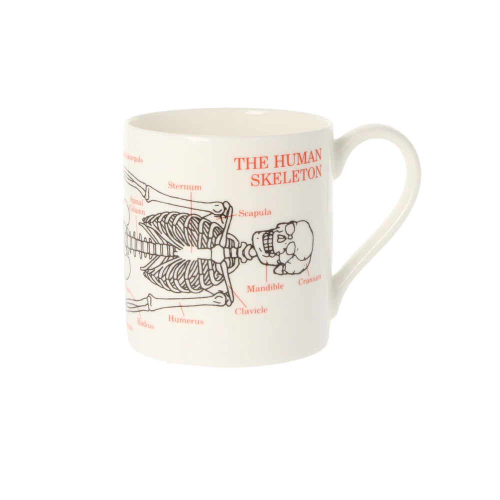 Human Skeleton Mug
