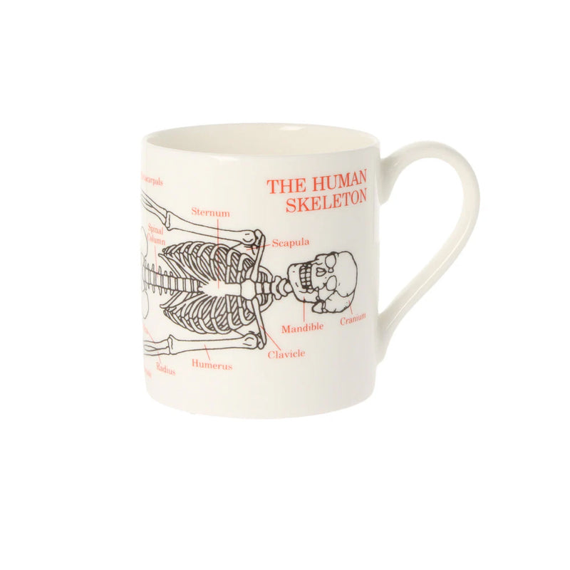 Human Skeleton Mug