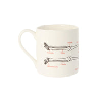 Human Skeleton Mug