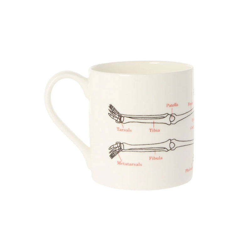 Human Skeleton Mug