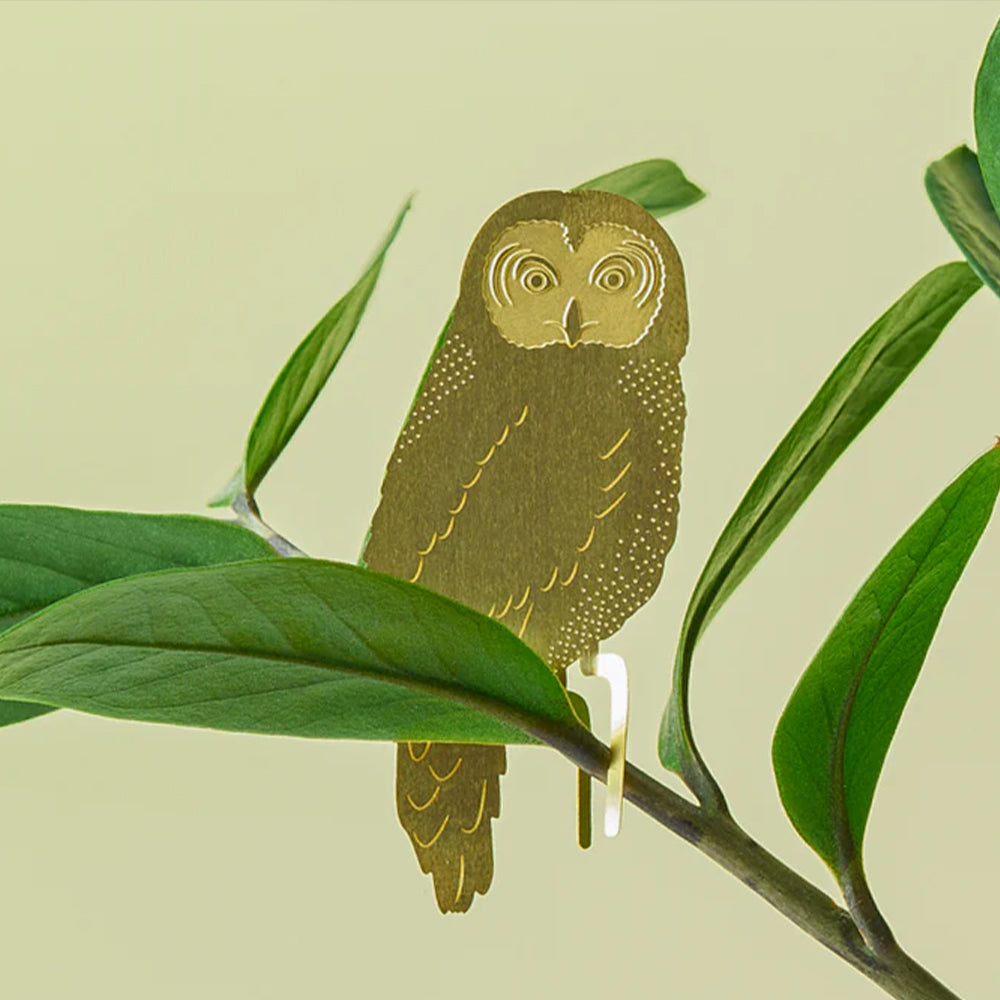 Plant Animal Owl