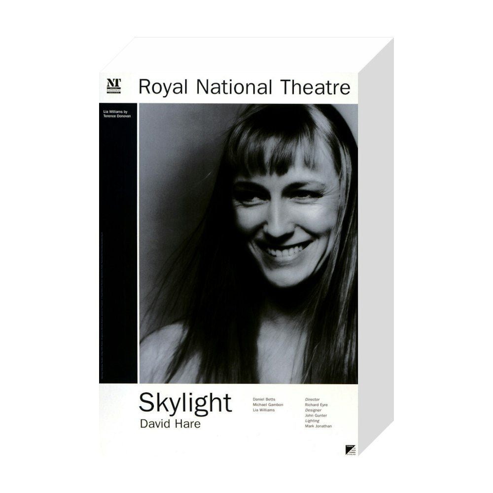 Skylight 1995 Print