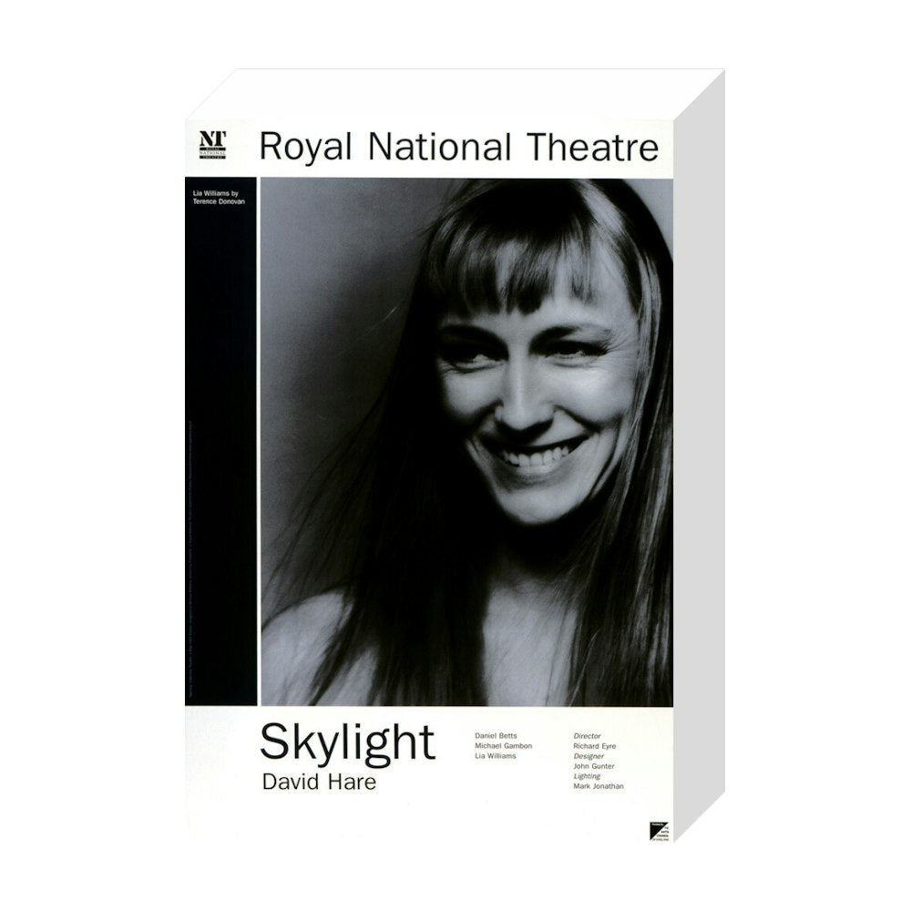 Skylight 1995 Print