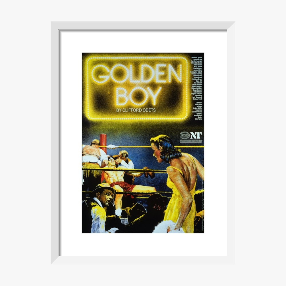 C14 P.Willinckii Golden Boy sporeling Species Spotlight