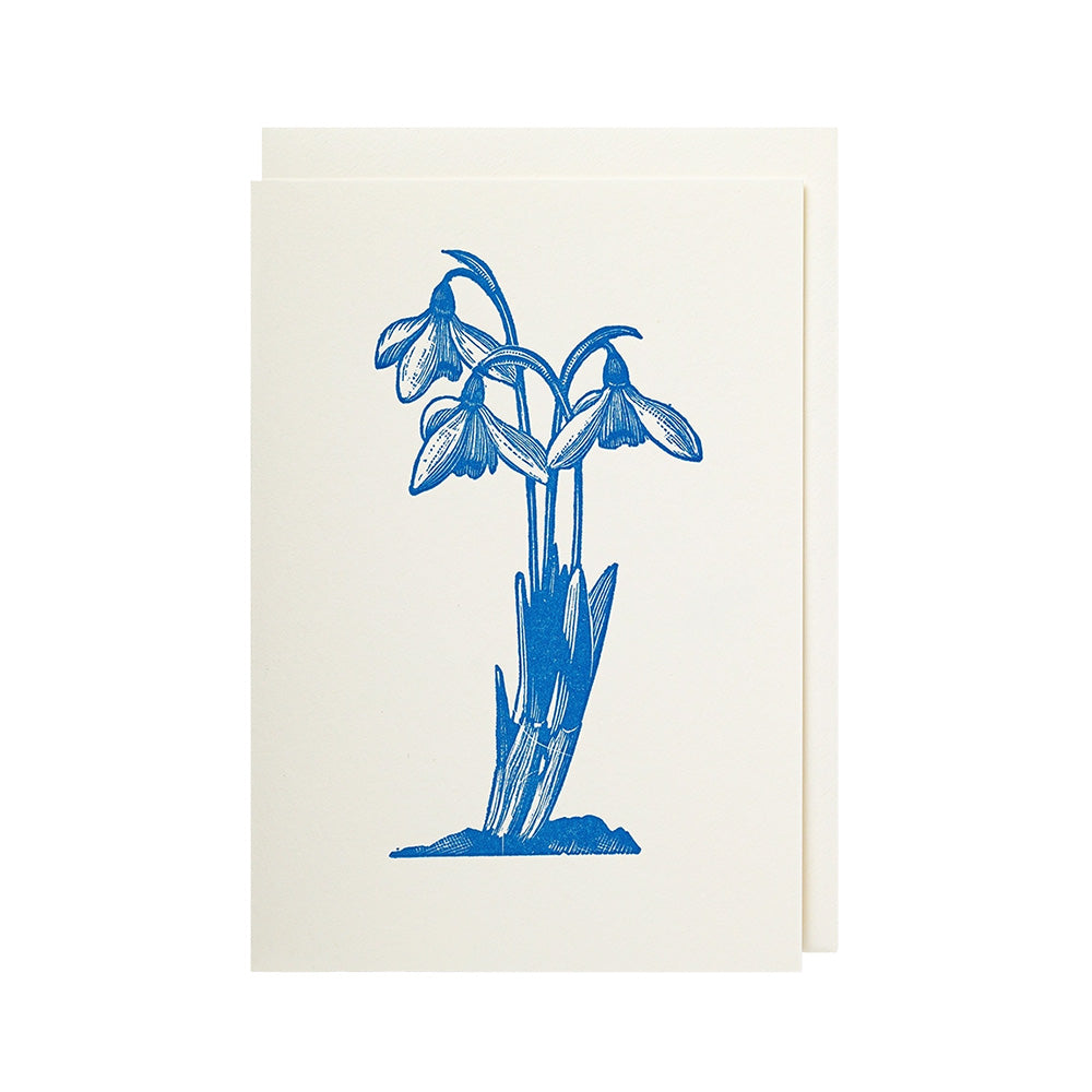 Snowdrop Card