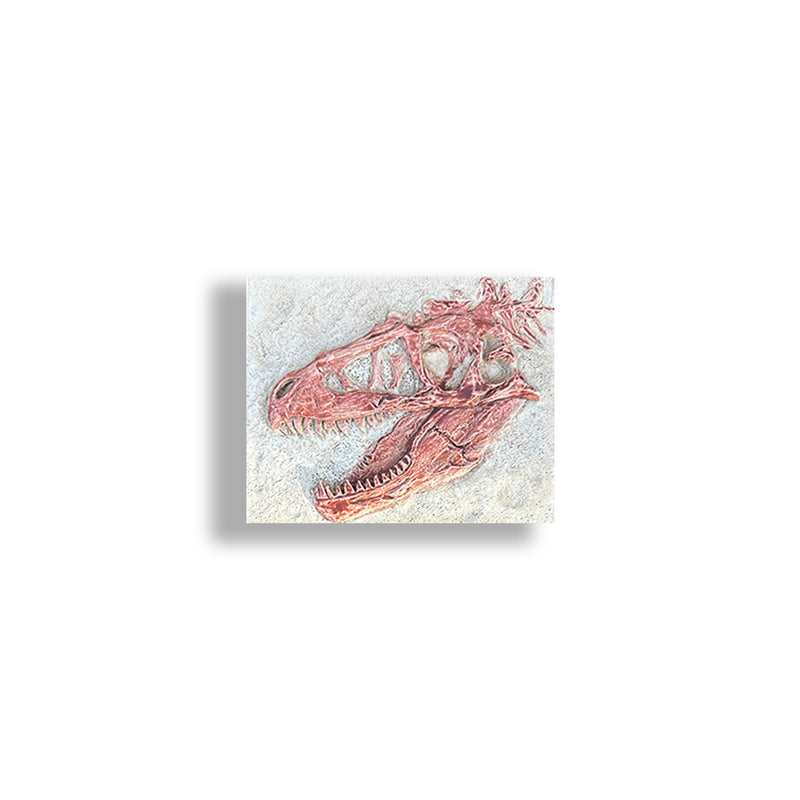 T-Rex Fossil Magnet