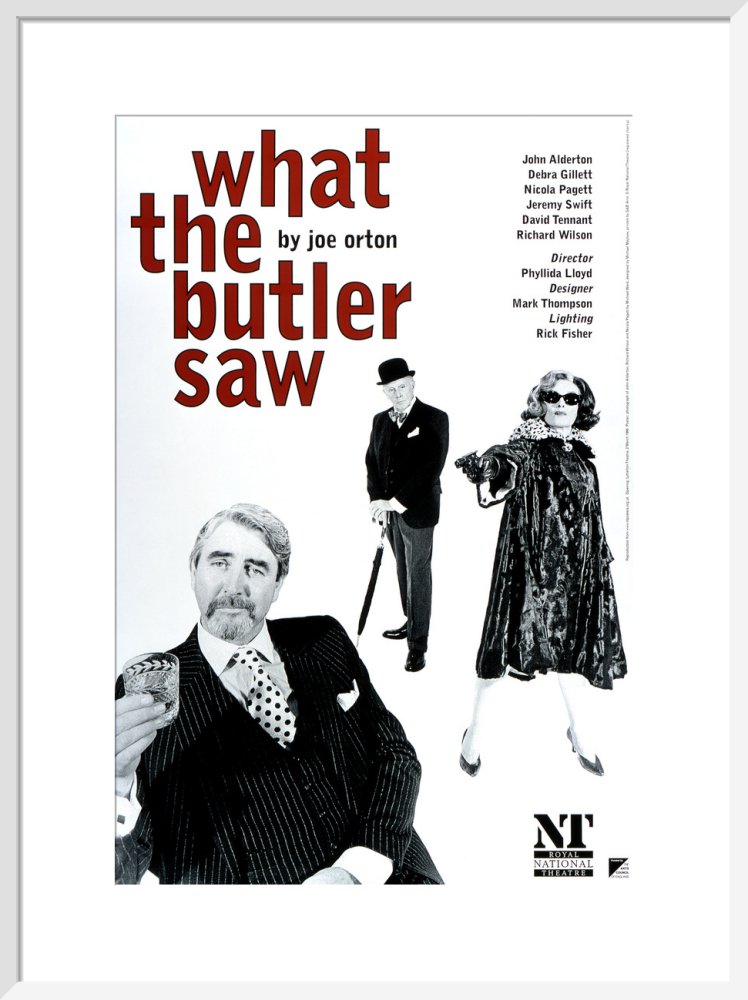 What the Butler Saw Custom Print