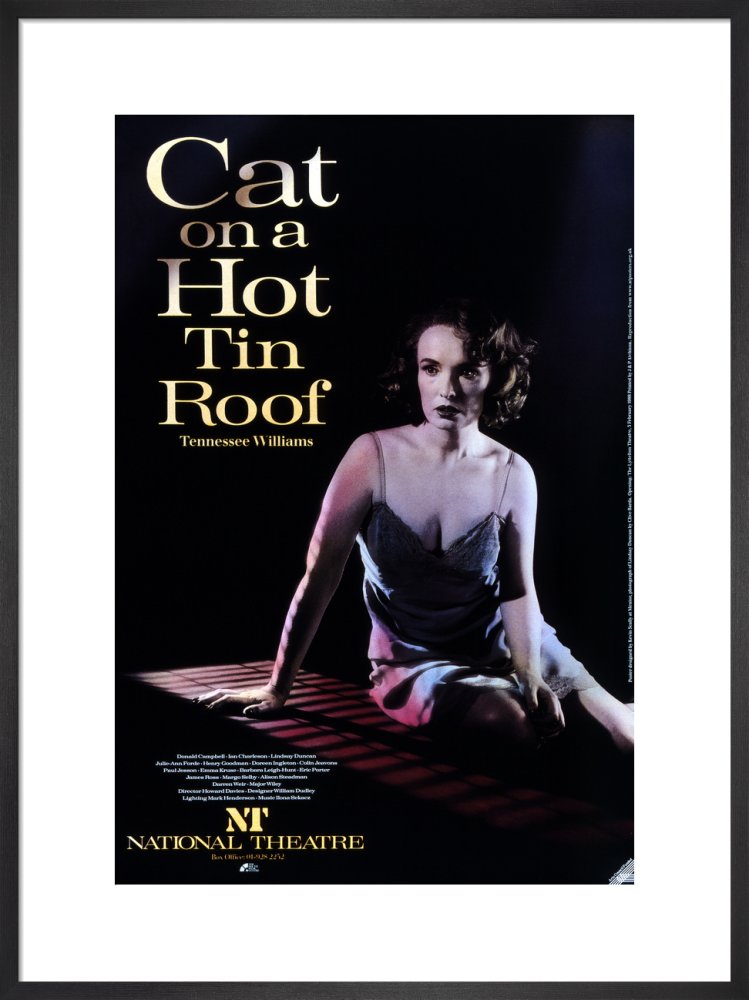 Cat on a Hot Tin Roof Custom Print