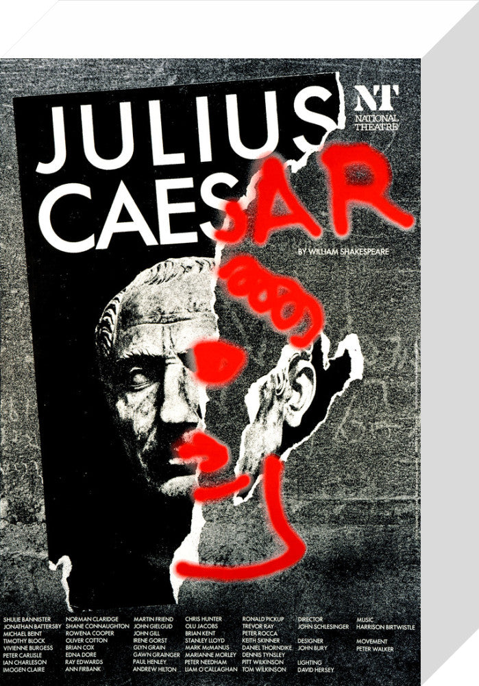 Julius Caesar Custom Print